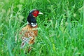 23 06 15_5288_edited-2